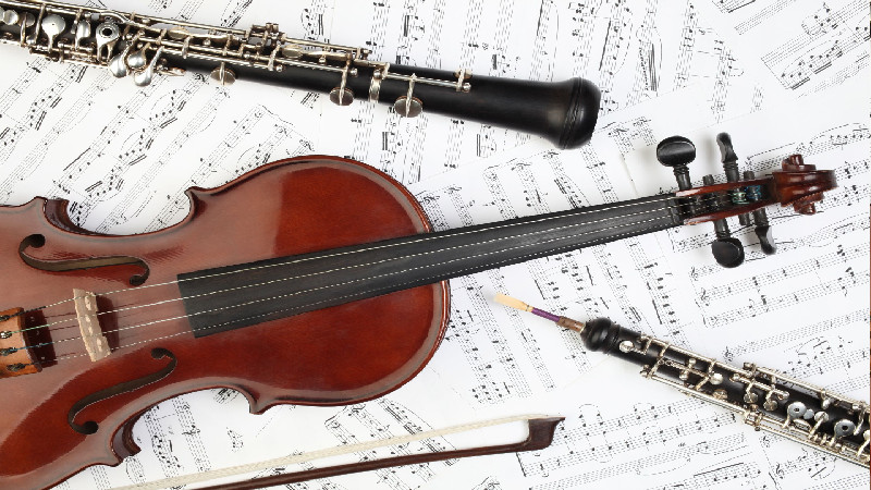 What to Look for When Buying Violin Strings in Peachtree City, GA