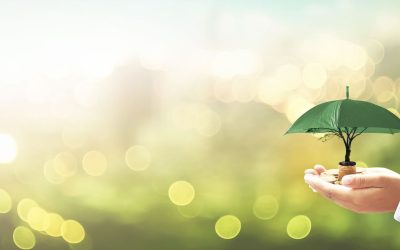 Inspiring Youth for a Brighter Future with Ngo Trust In India Educational Programs