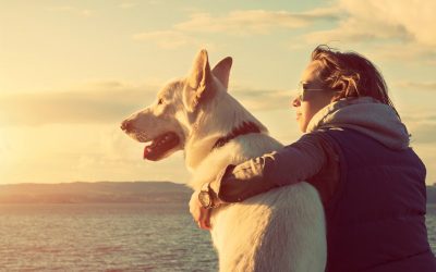 Keep Your Pup Happy And Socialized At Dog Daycare In UES For Ultimate Peace Of Mind