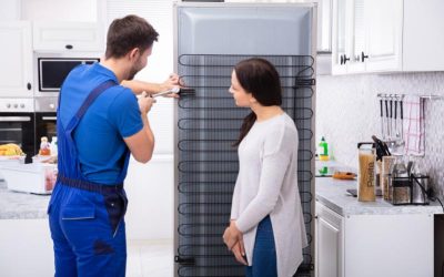 Fast Solutions for Sub-Zero Refrigerator Problems